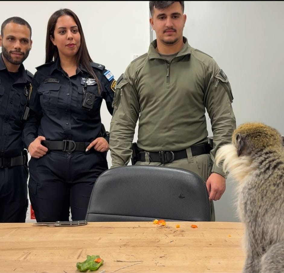 קרדיט: משטרת ישראל