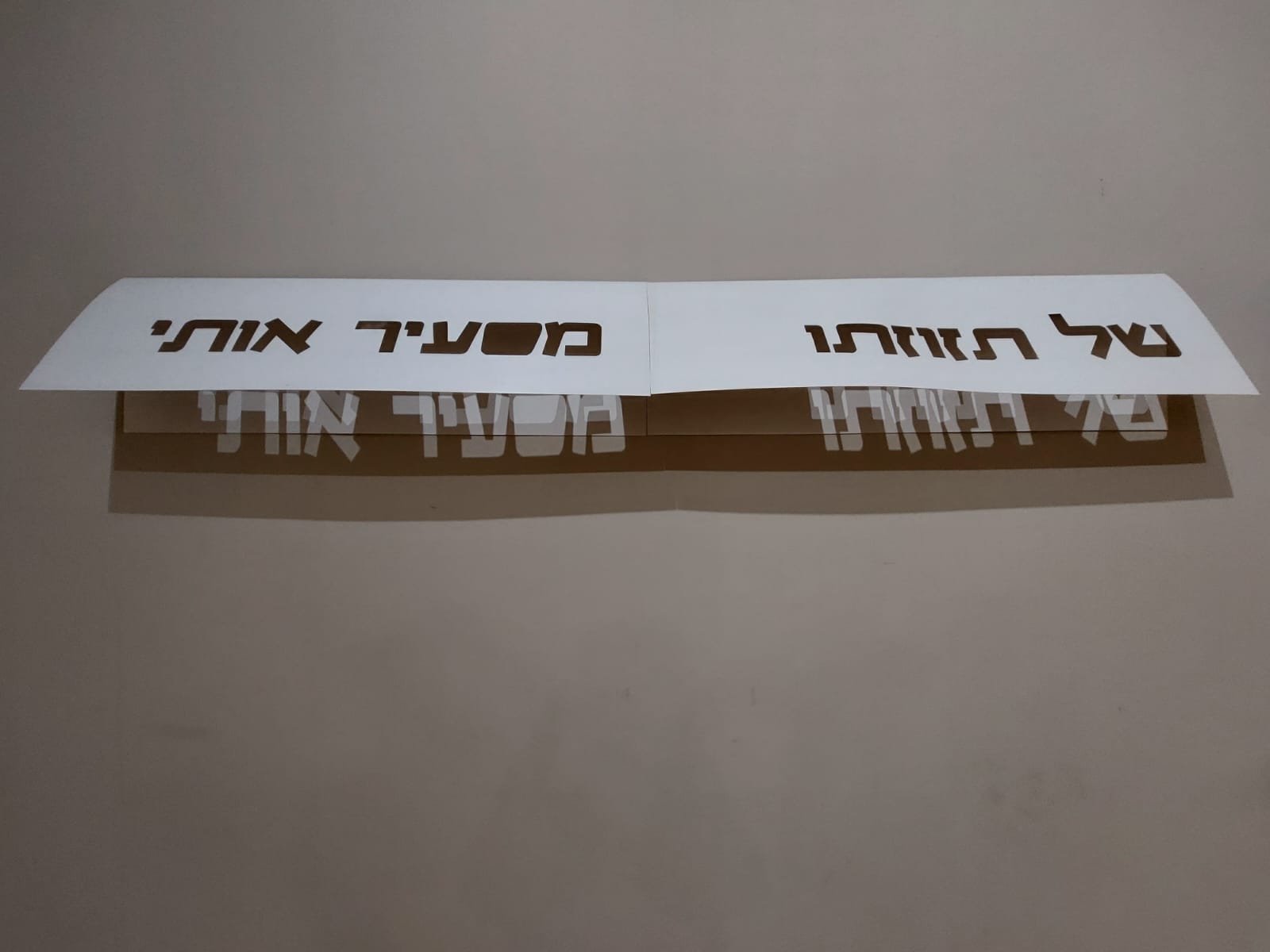 קרדיט צילום: יפעת לייס-פרמן