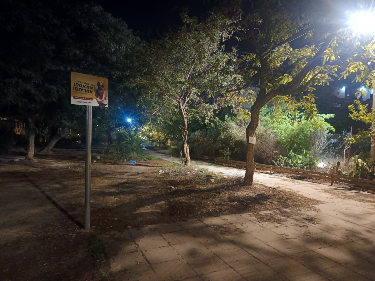 קרדיט: בן מורג