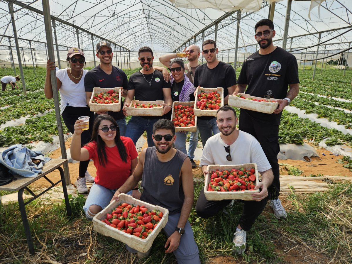 קרדיט: צוות 3