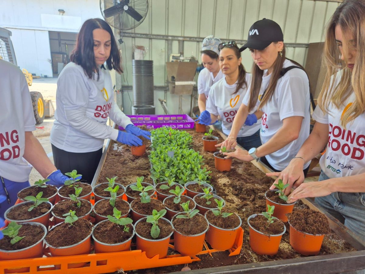 קרדיט: כללית