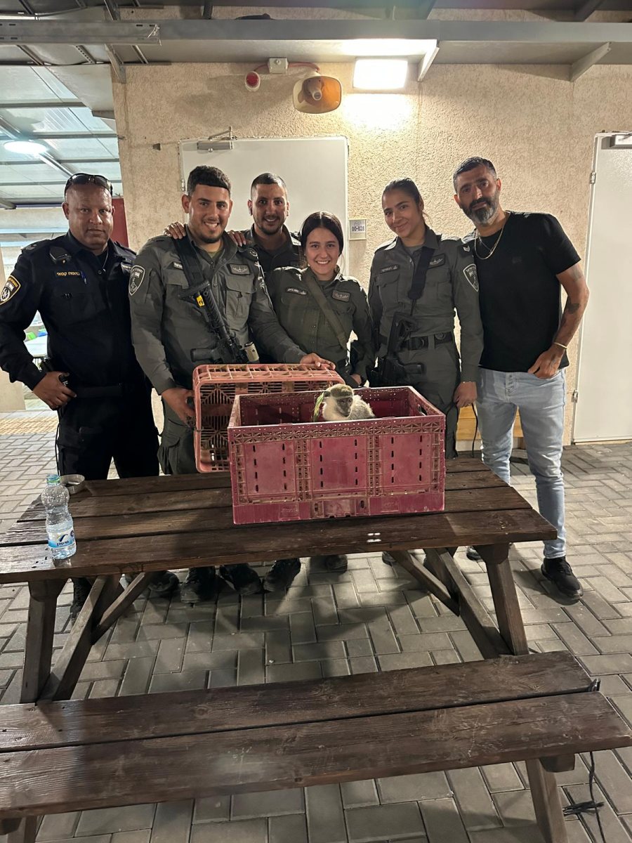 קרדיט: דוברות מרחב נגב