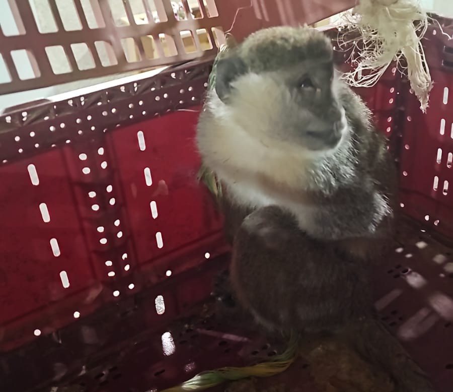 קרדיט: דוברות מרחב נגב