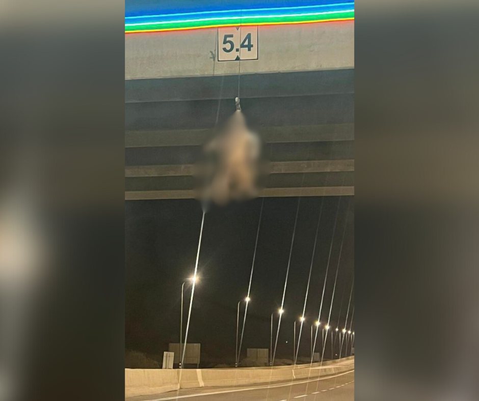 קרדיט: תוכן גולשים ע"פ סעיף 27א'