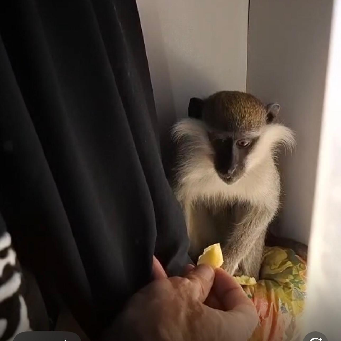 קרדיט: משטרת ישראל