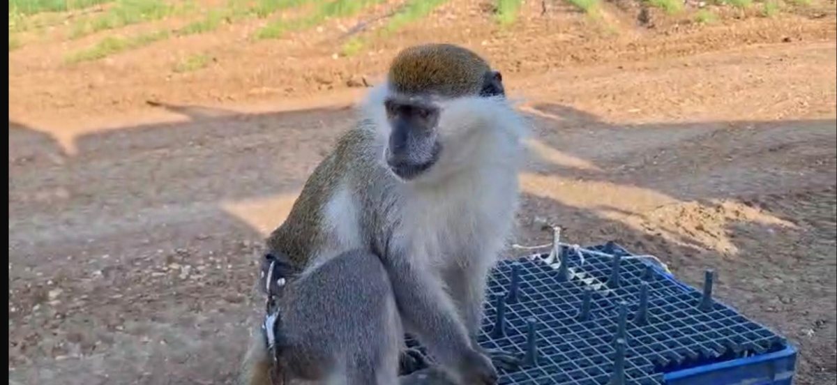 קרדיט: משטרת ישראל