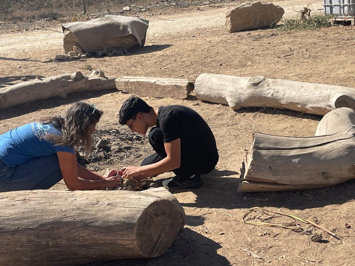 קרדיט: דודאים