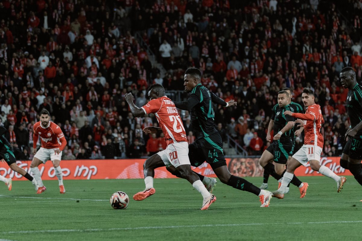 קרדיט: דניאל כהן, ליצ'י