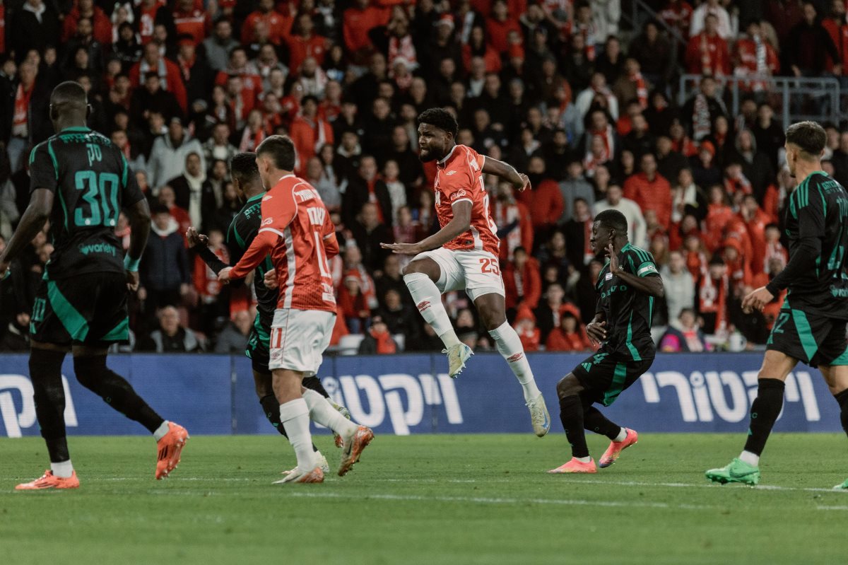 קרדיט: דניאל כהן, ליצ'י