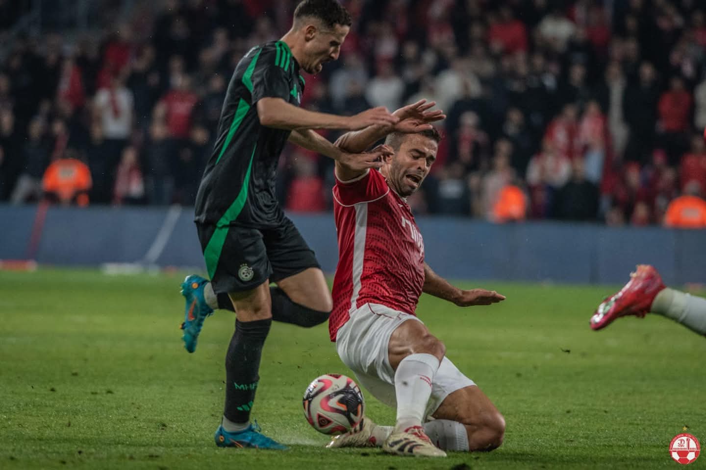 קרדיט: הפועל "ויקטורי" באר שבע