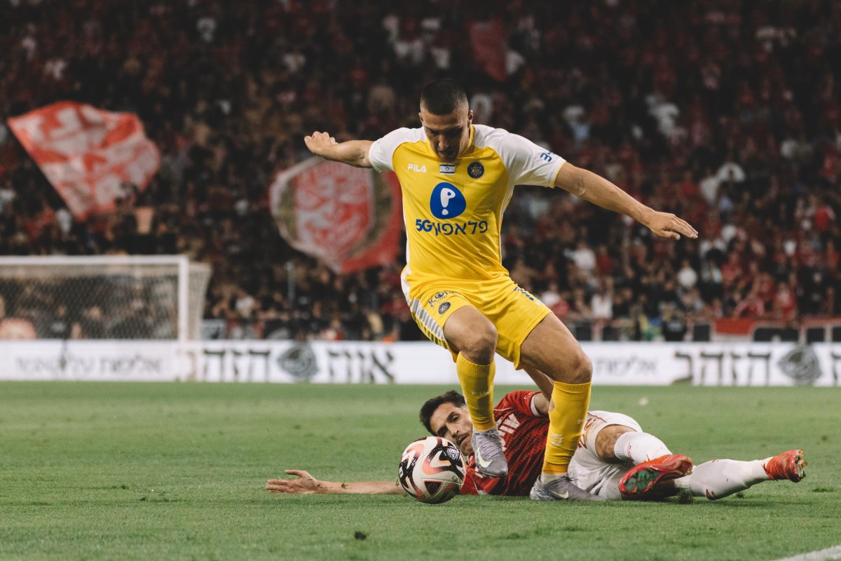 קרדיט: דניאל כהן, ליצ'י ביזנס