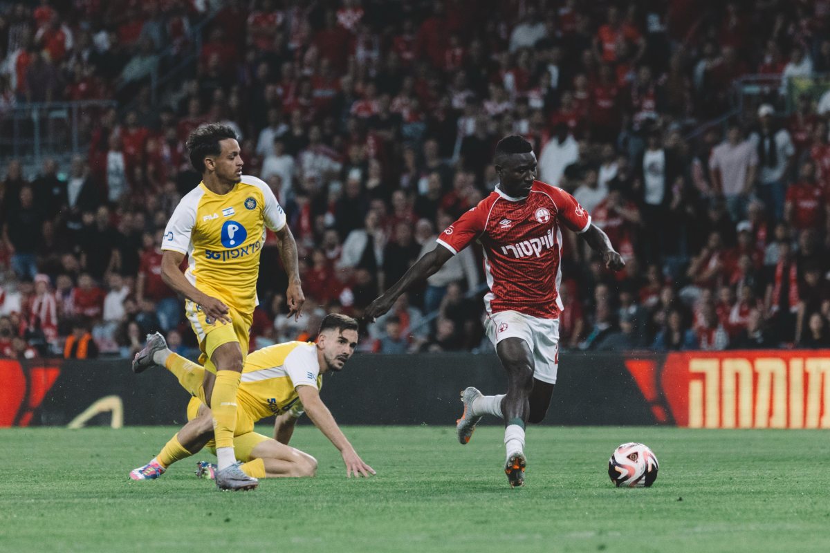 קרדיט: דניאל כהן, ליצ'י ביזנס