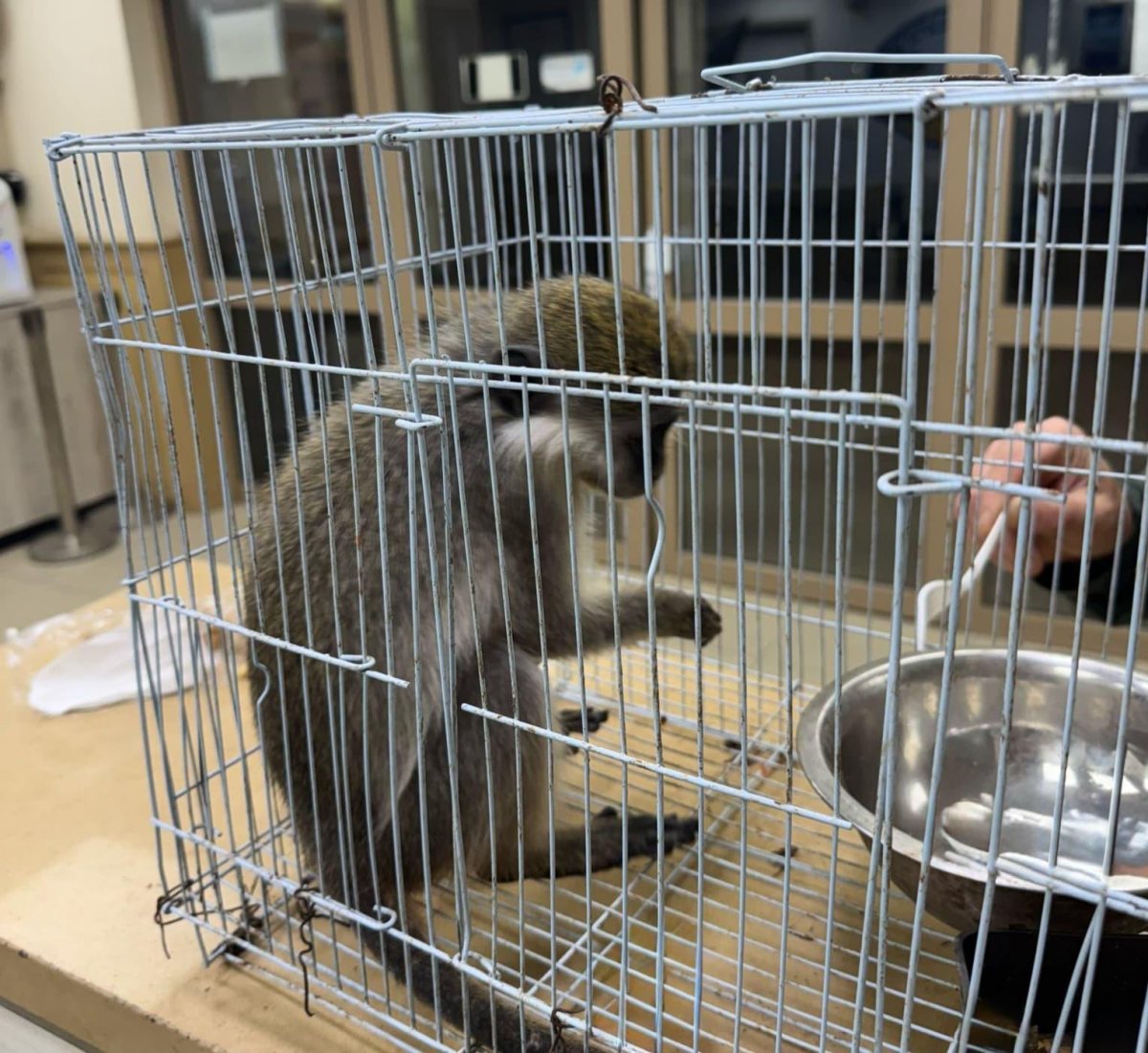 קרדיט: משטרת ישראל