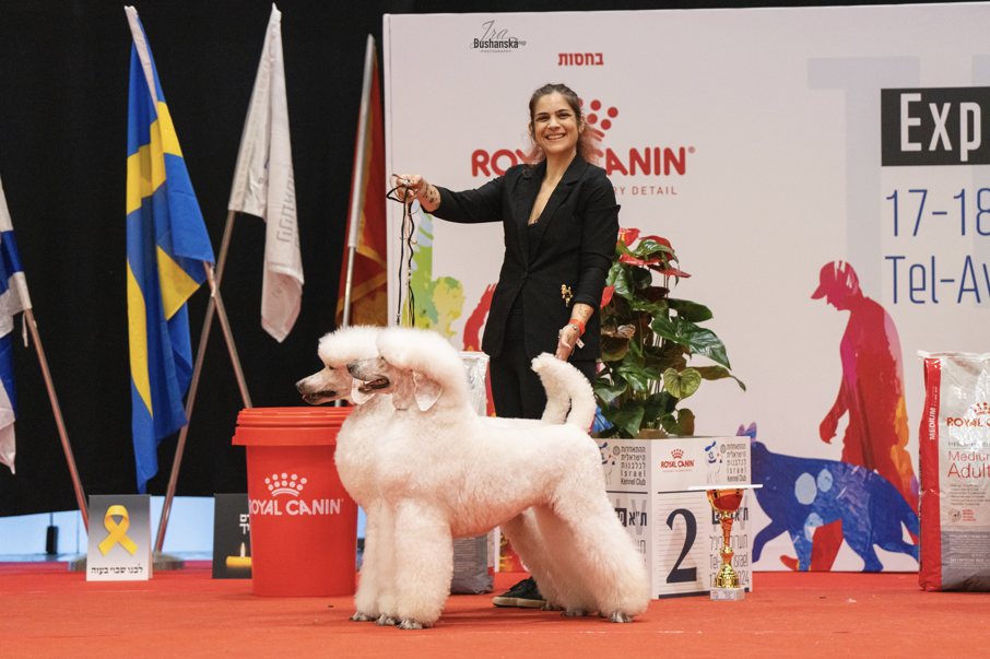 תערוכת הכלבים הבינלאומית. קרדיט צילום - אירינה בושנסקי