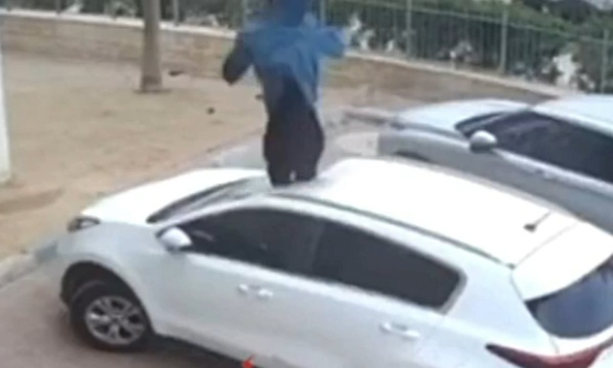 קרדיט: תוכן גולשים ע"פ סעיף 27א'