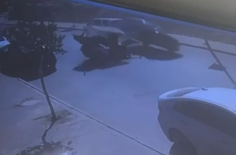 קרדיט: תוכן גולשים ע"פ סעיף 27א'