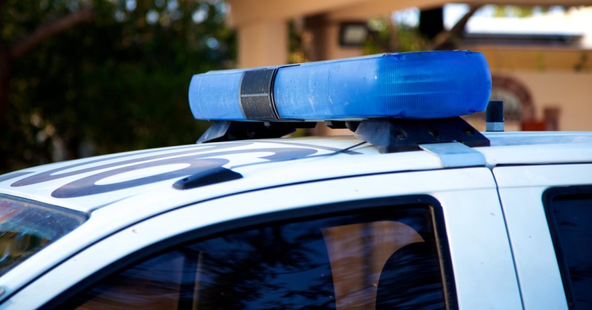 קרדיט: כרמל קיסרי