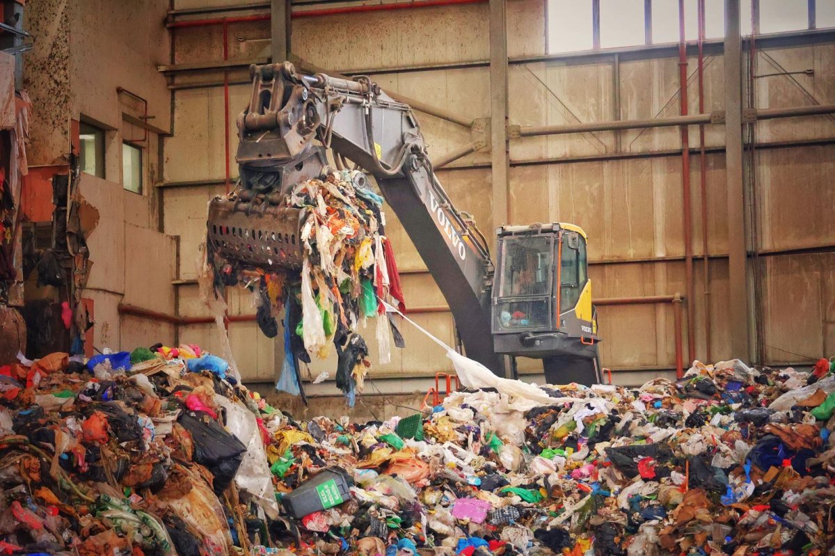 קרדיט: חזי נקאש