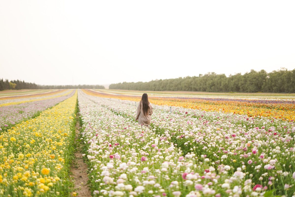 קרדיט: ניר יצחק