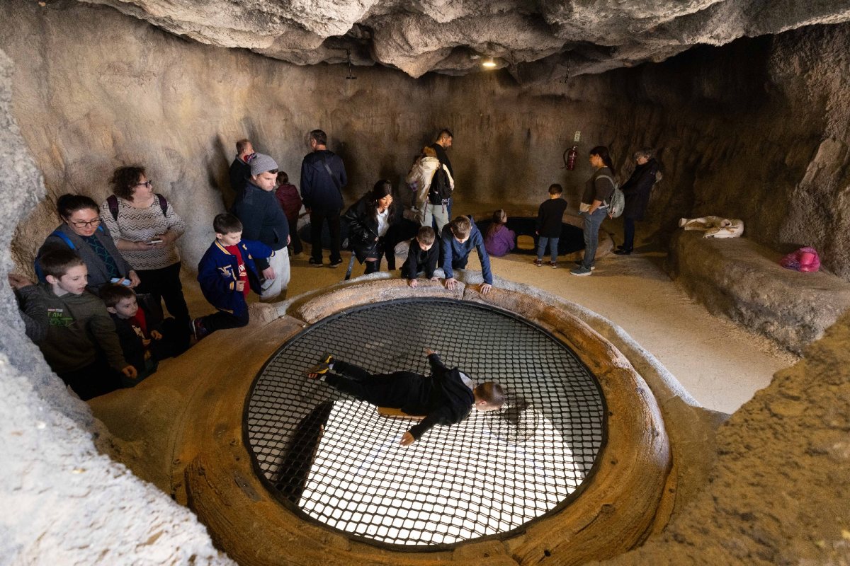 צילום: דיאגו מיטלברג