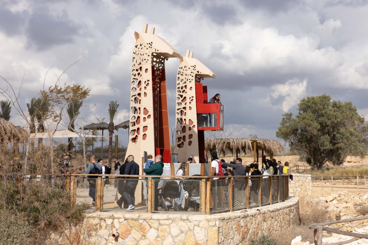 צילום: דיאגו מיטלברג