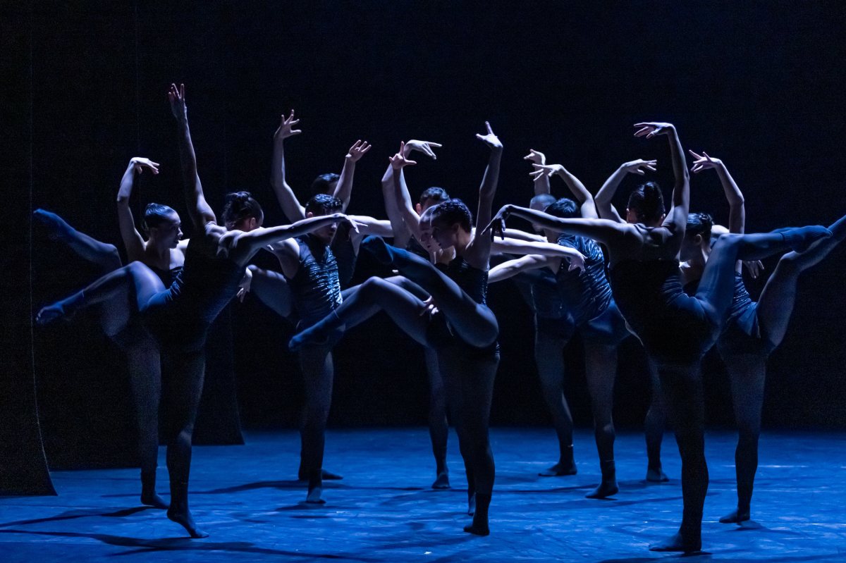 קרדיט: כפיר בולוטין