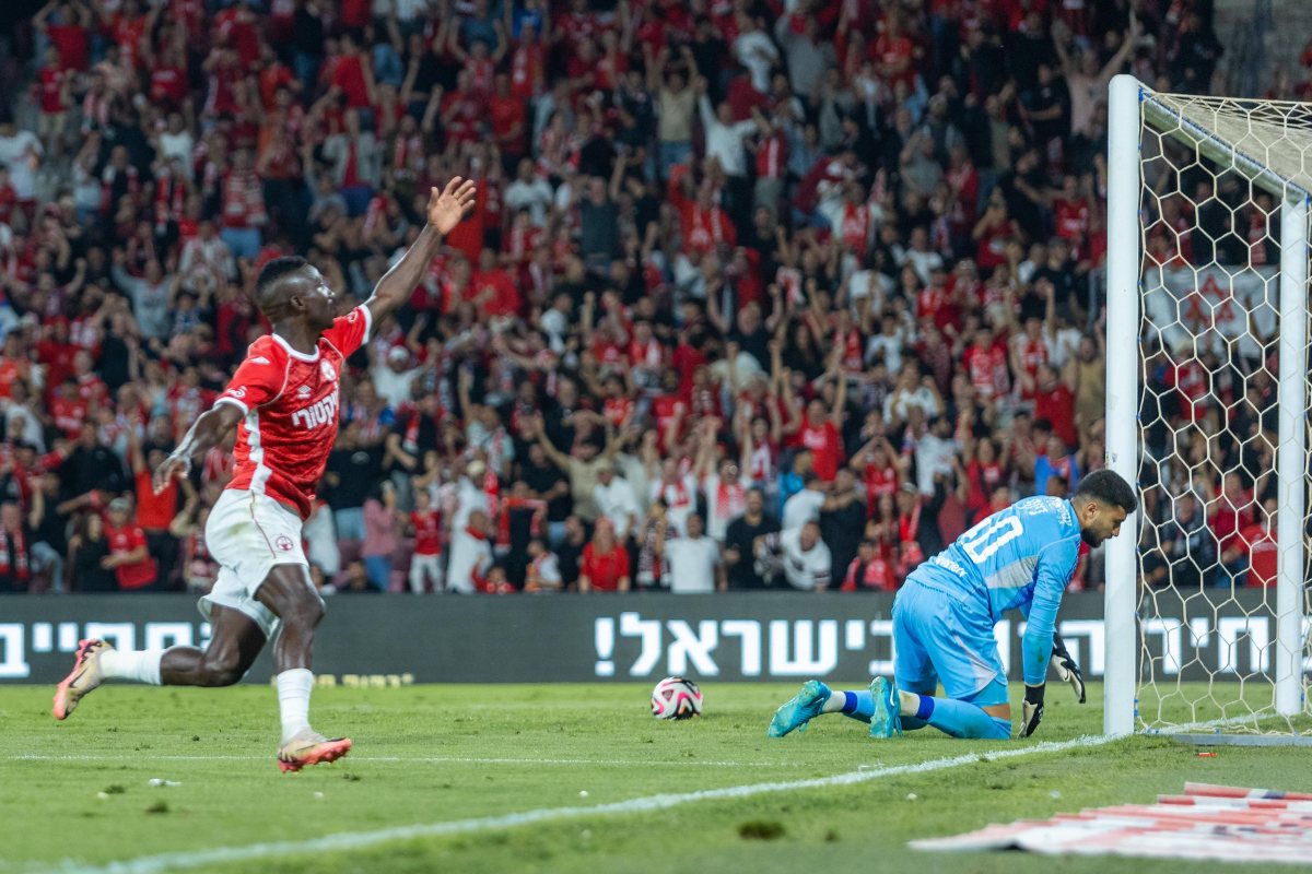 קרדיט: דניאל כהן, ליצ'י