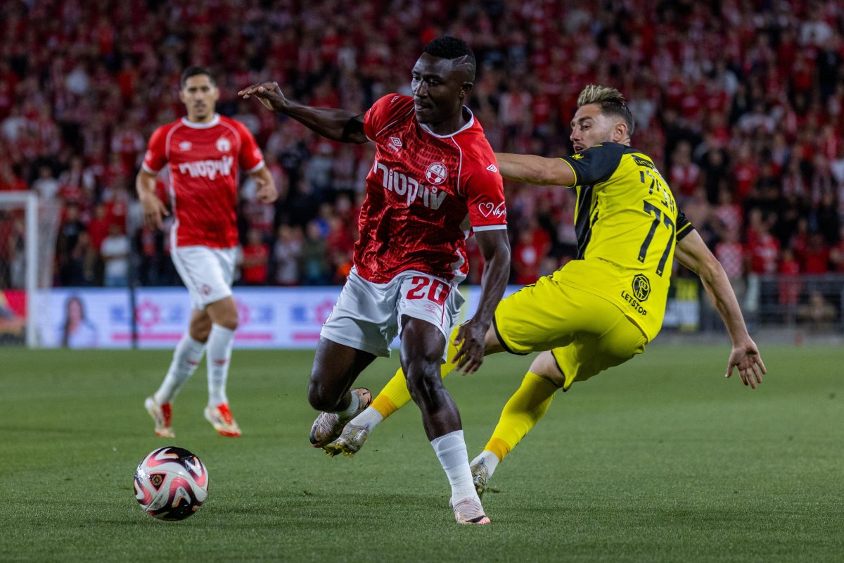 קרדיט: דניאל כהן, ליצ'י