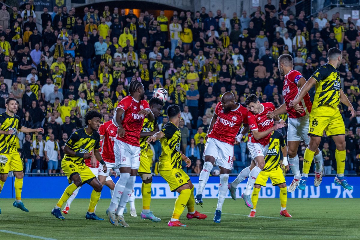 קרדיט: דניאל כהן, ליצ'י