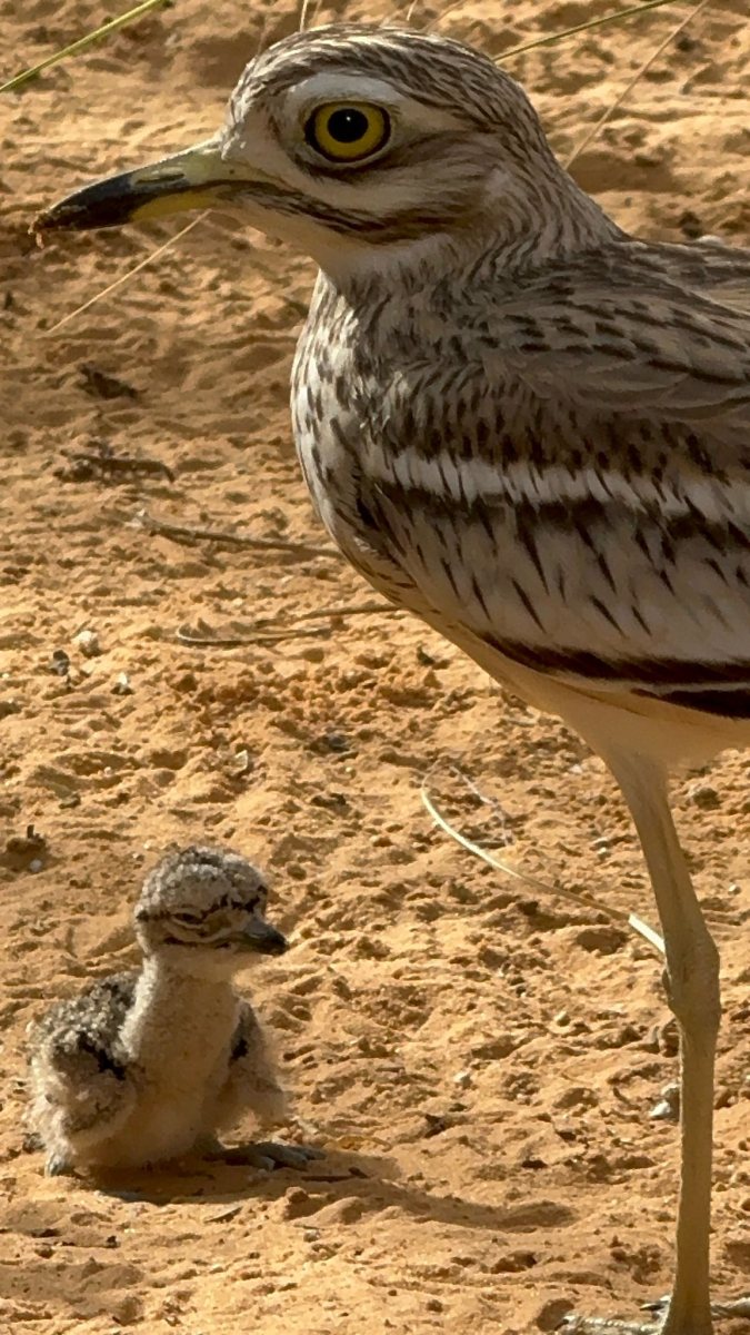 קרדיט: מורן לוי