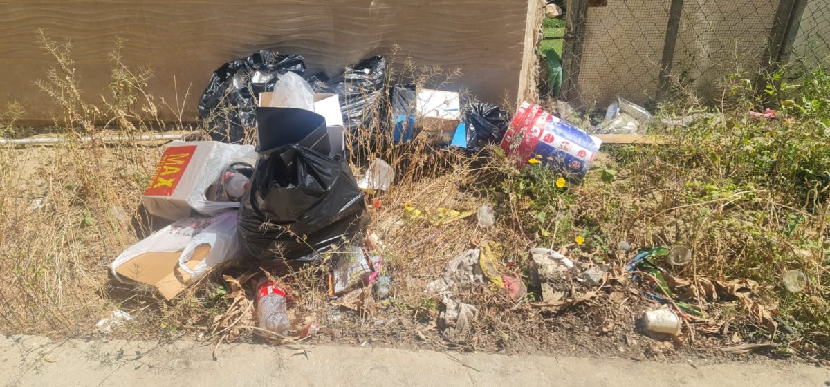 קרדיט: צילום פרטי