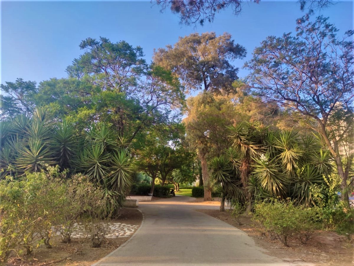 גן הראשונים. צילום: סתיו ליבנה