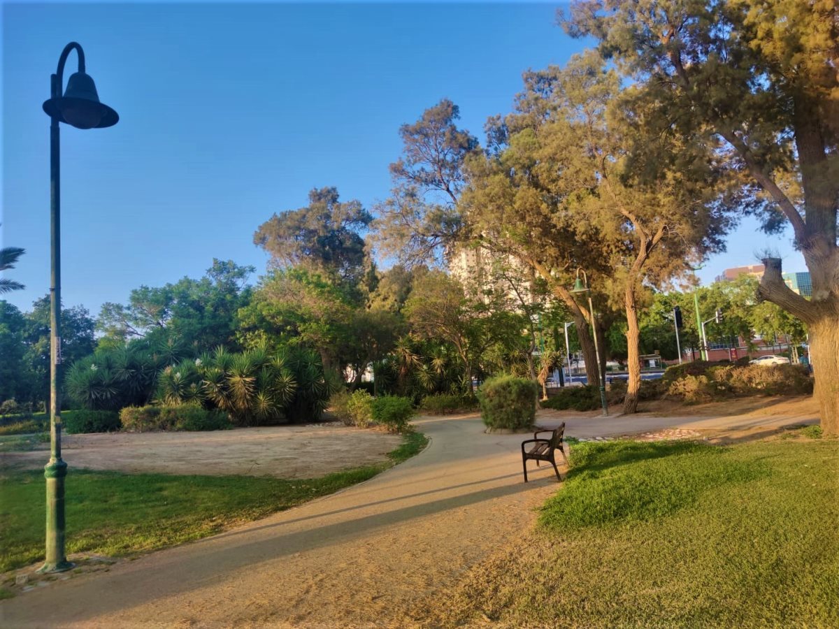 גן הראשונים. צילום: סתיו ליבנה