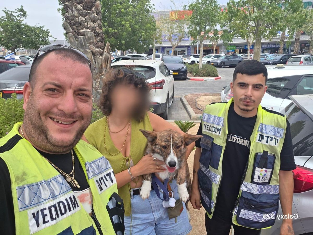 קרדיט: ידידים