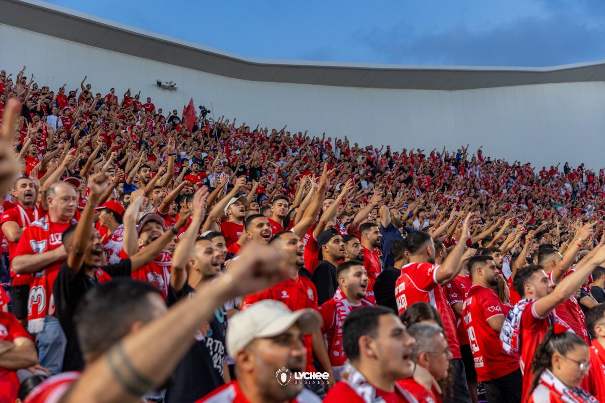 קרדיט: דניאל כהן, ליצ'י
