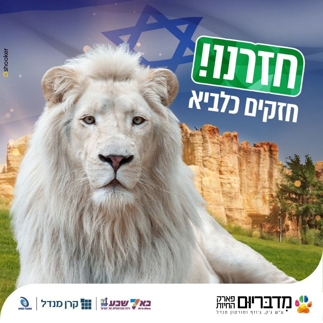 קרדיט: מדבריום