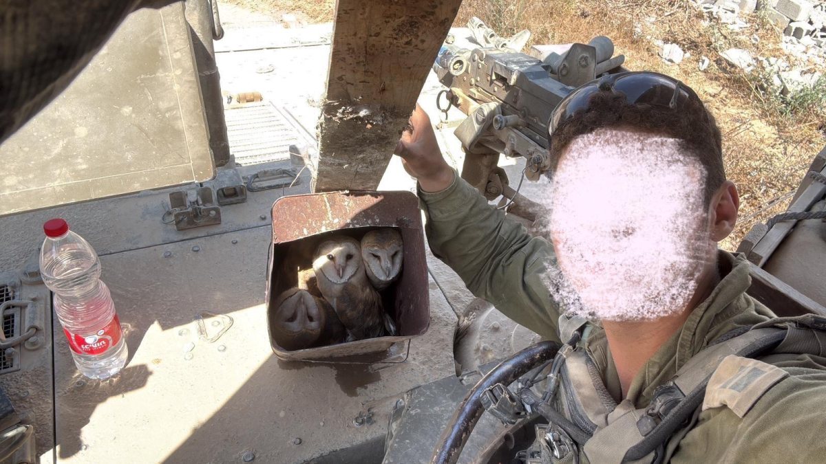 קרדיט: רשות הטבע והגנים ודובר צה"ל