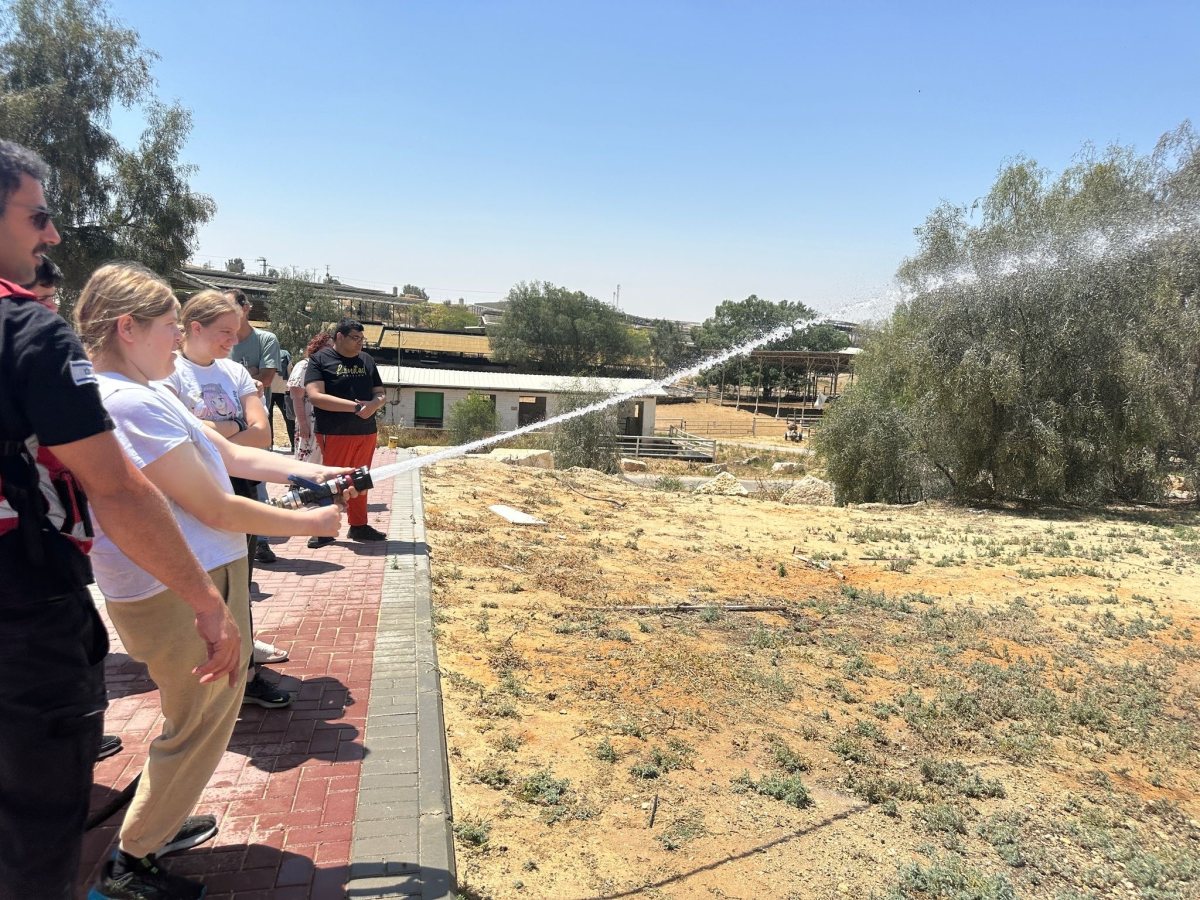 קרדיט: מאור סידון