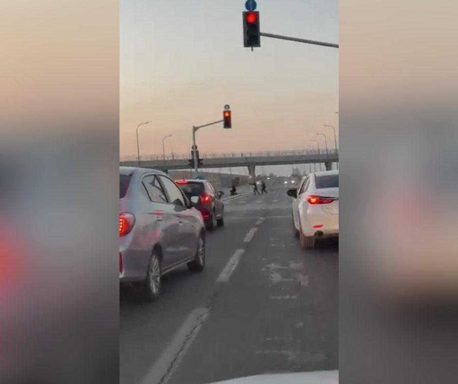 קרדיט: תוכן גולשים ע"פ סעיף 27א'