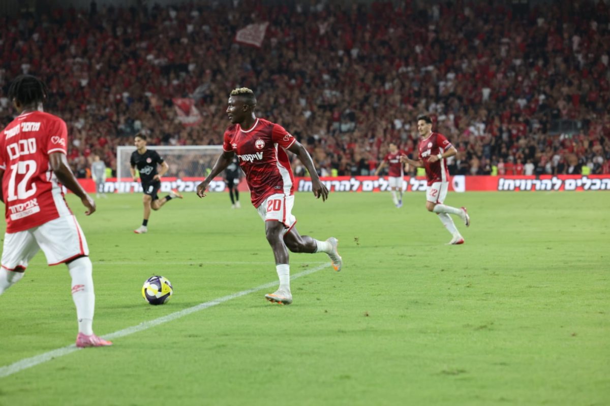 קאנגווה. קרדיט: זאב דיקמן