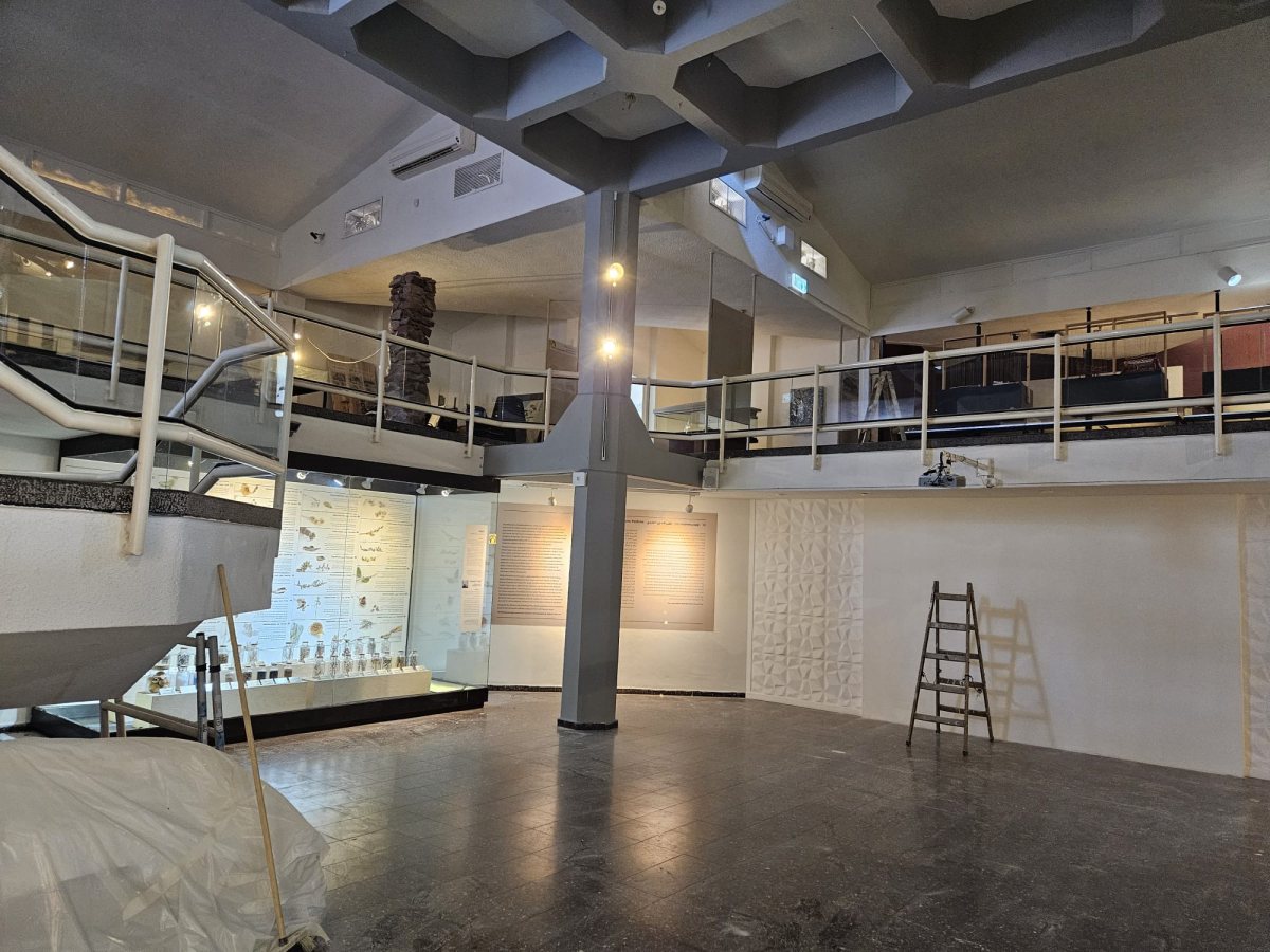 קרדיט: בני שמעון