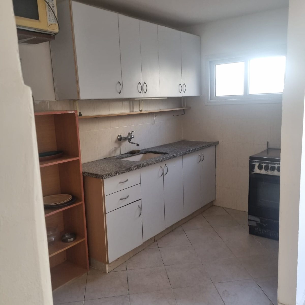 אלכסנדר ינאי. קרדיט: רימקס