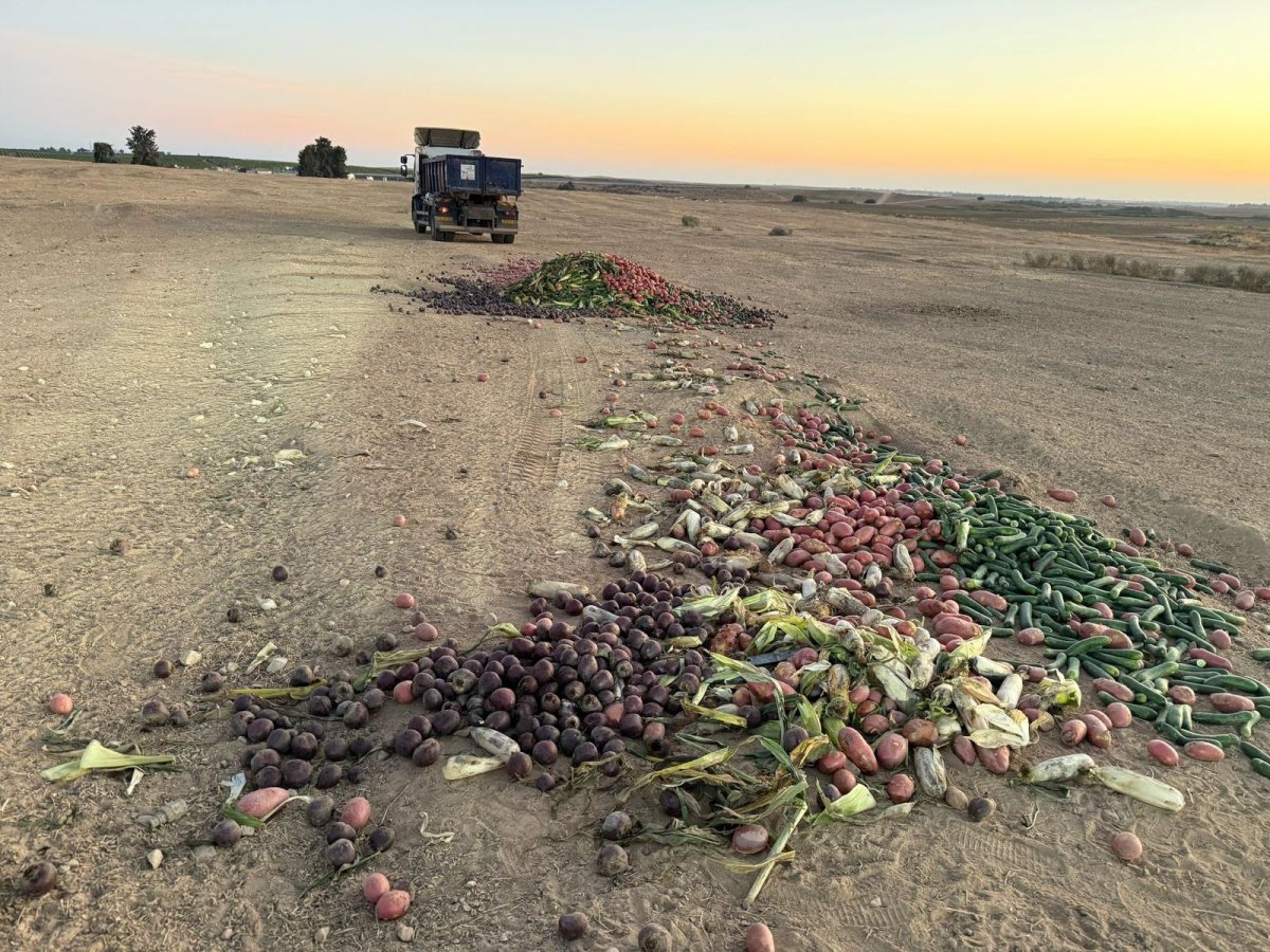 קרדיט: רועי משה ומנשה גלעד
