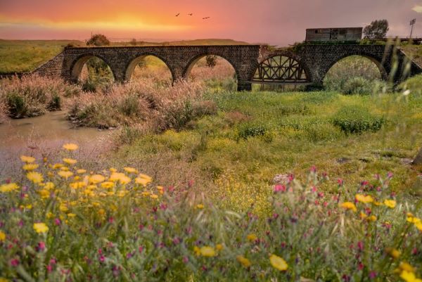 נהריים בגשר