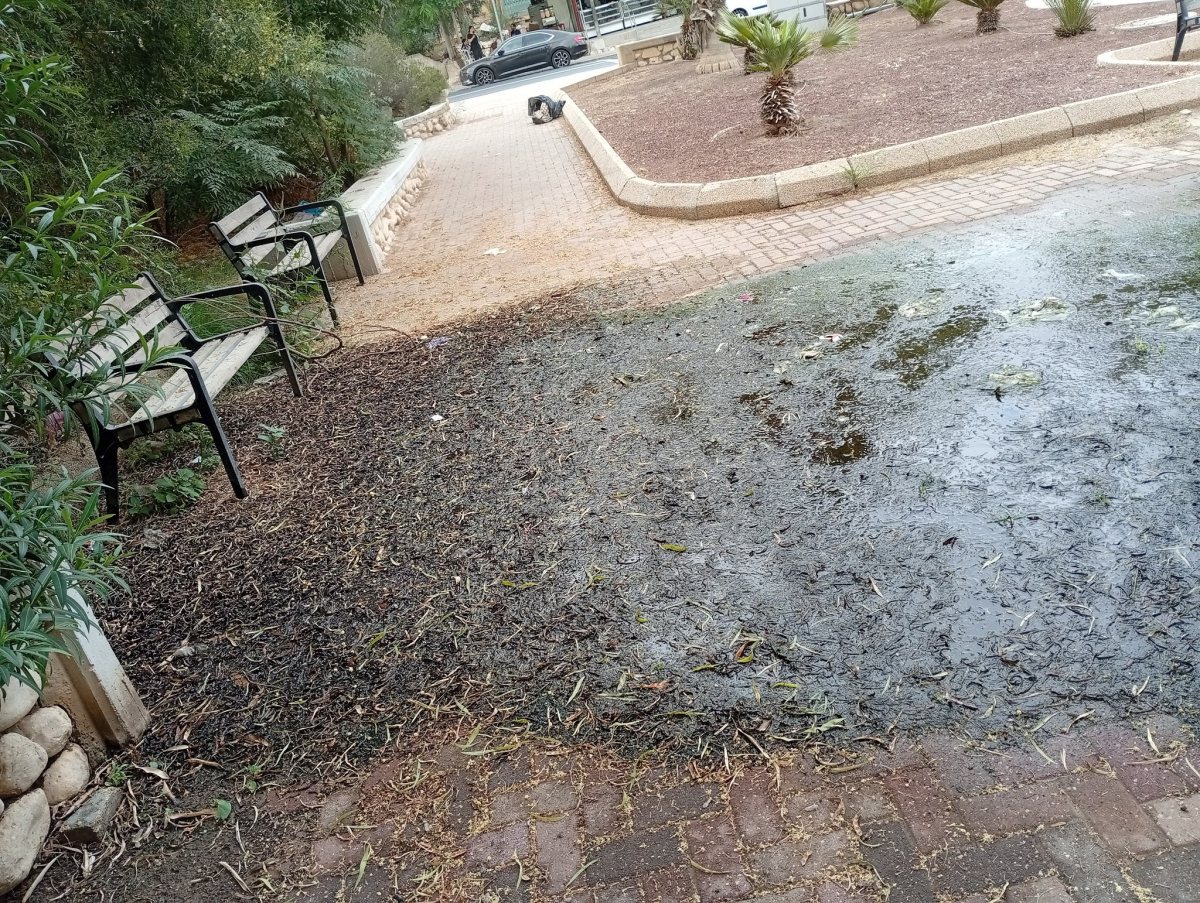 רחוב סנהדרין. קרדיט: צילום פרטי