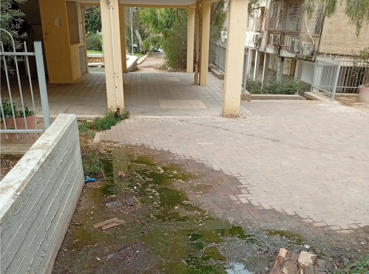 קרדיט: צילום פרטי