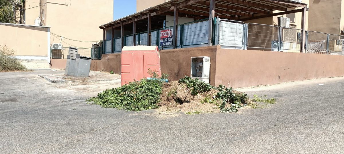 חלק מהלכלוך שהוצא מהגן. קרדיט: צילום פרטי