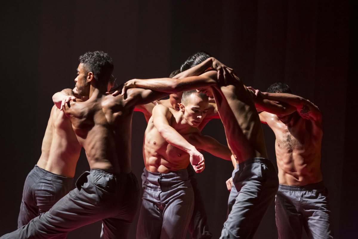 קרדיט: כפיר בולוטין