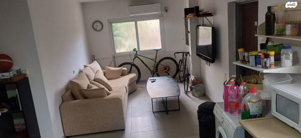 רינגלבלום. קרדיט: רימקס