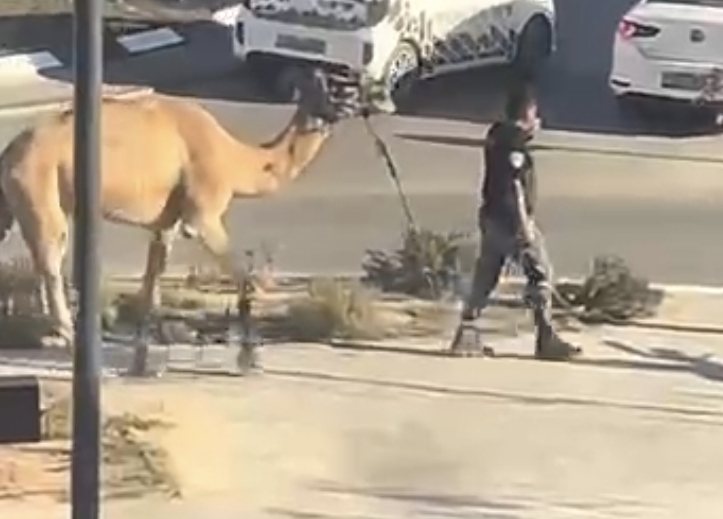 קרדיט: תוכן גולשים ע"פ סעיף 27א'